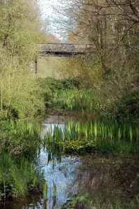 nature photography Cheshire