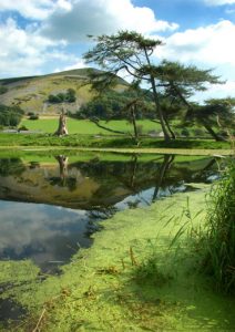 Lancaster canal views