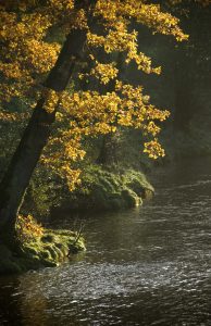 Crook O' Lune