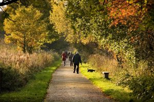 Autumn colours, landscape photographer, Lancaster