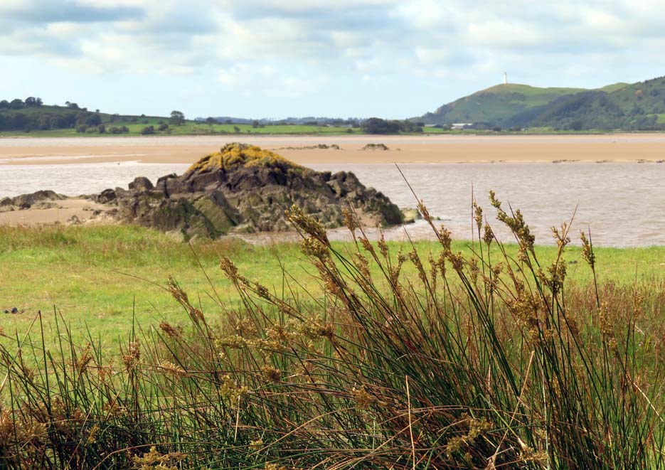 Leven estuary 