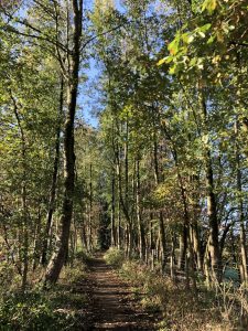 railway path